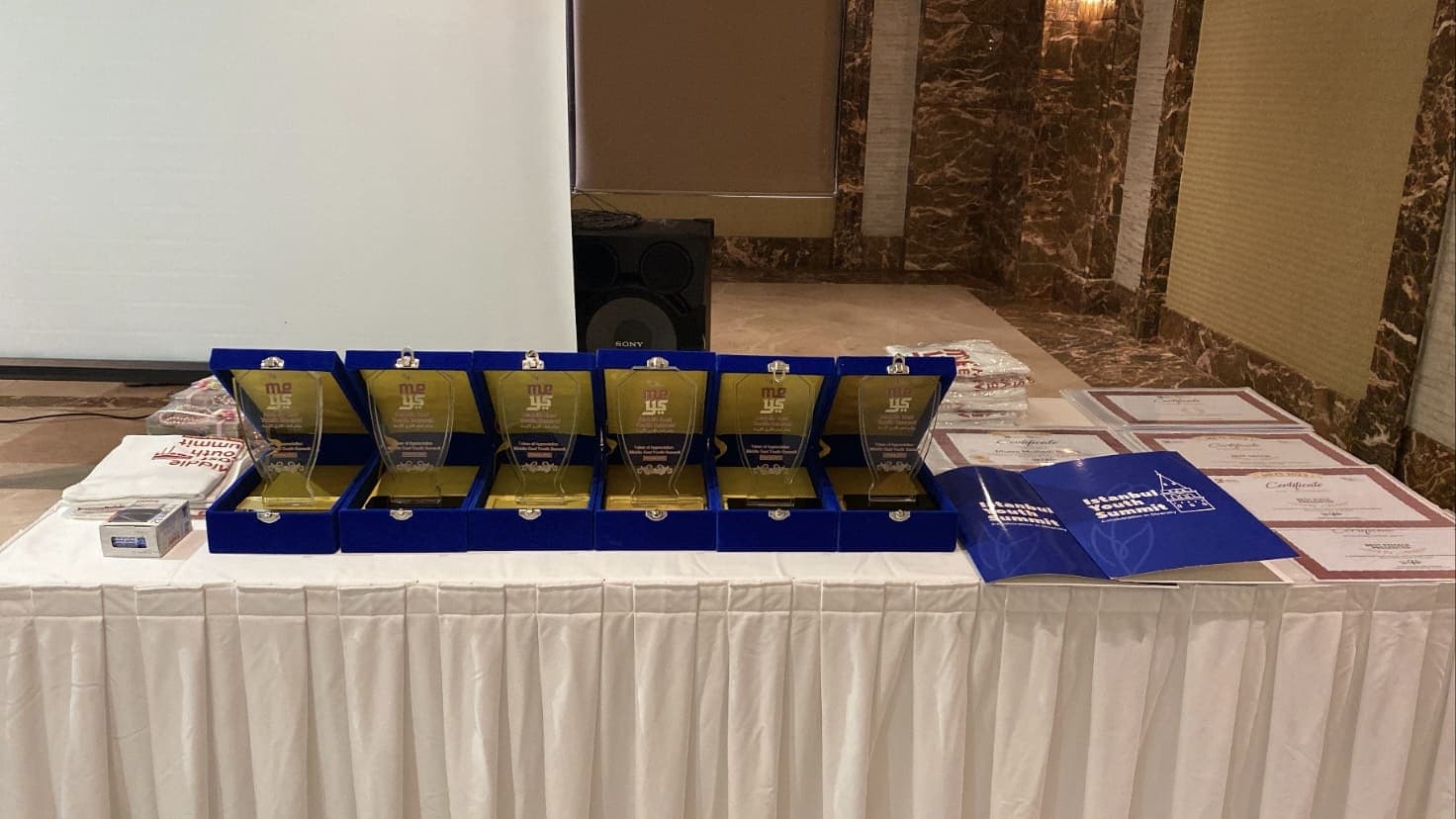 Japan Youth Summit main program